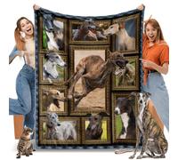 HACXZ Coperta con stampa di levriero per uomo, donna e bambini, regali per amanti dei cani, coperte e plaid in morbida e calda flanella per divano e soggiorno, 50" x 60"