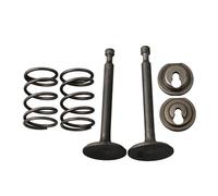 HAdfEV Accessori per Tosaerba Kit di ritegno a Molla for valvola di Scarico Adatto for Tosaerba a Benzina Hon GX160 GX200 168F 170F 5,5-6,5 CV 14711-ZF1-000
