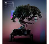 Haelos - Any Random Kindness (4 LP)