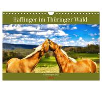 Haflinger im Thüringer Wald (Wandkalender 2027 DIN A4 quer), CALVENDO Monatskale