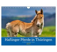 Haflinger Pferde in Thüringen (Wandkalender 2027 DIN A4 quer), CALVENDO Monatska