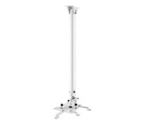 Hagor HA BDH supporto per proiettore Soffitto Stainless steel