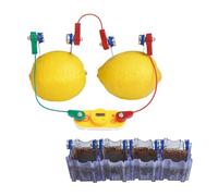 Hagemann - Set di esperimenti con batteria al limone per bambini a partire dagli 8 anni di età, con modulo LED, suono e orologio, set di menta, per scuola, tempo libero e lezioni, 19 pezzi