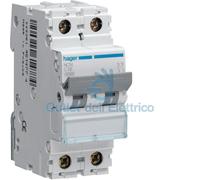 NCN210A INTERRUTTORE AUTOMATICO MAGNETOTERMICO 2P 2 POLI 2X10A 10KA CURVA C 2 M
