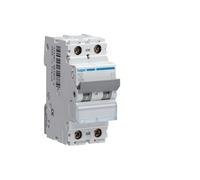Interruttore magnetotermico Hager 2P 20A 10KA 2 Moduli curva C NCN220A