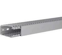 Hager tehalit. B7 A - Canale 80 x 40 BA7 pvc-m1 con coperchio grigio
