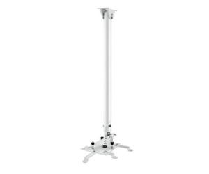 Hagor HA BDH supporto per proiettore Soffitto Stainless steel