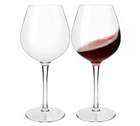 HAHASHOW Tritan-Plastica Bicchiere da Vino Bianco, Set di 2 Divino Calice vino rosso per campeggio festa, Adatto alla Lavastoviglie, 500ml