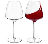 HAHASHOW Tritan-Plastica Bicchiere da Vino Bianco, Set di 2 Divino Calice vino rosso per campeggio festa, Adatto alla Lavastoviglie, 610ml