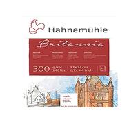 Hahnemühle 10628983 - Blocco di acquerelli, calligrafia, certificati e cartoline, 300 g, 12 fogli
