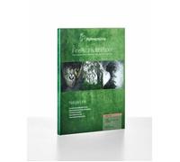 Hahnemühle Canna da zucchero 300g/m² DIN A3+ 25 fogli