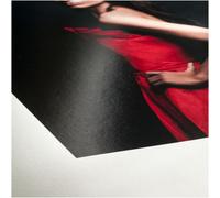 Hahnemühle carta FineArt Baryta Satin 300g/m² 61x12m