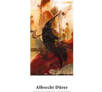 HAHNEMÜHLE FINE ART ALBRECHT DÜRER 210 GR. 1118 MM. X 12 M. 10640106