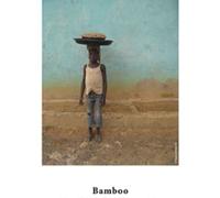 Hahnemühle Fine Art Bamboo 290 g. 431 mm. x 12 m. 10643467