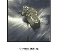 HAHNEMÜHLE FINE ART GERMAN ETCHING 310 GR. 610 MM. X 12 M.