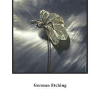 HAHNEMÜHLE FINE ART GERMAN ETCHING 310 GR. 889 X 1188 MM. BOX 25 FOGLI