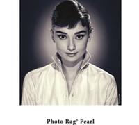 HAHNEMÜHLE FINE ART PHOTO RAG® PEARL 320 GR. 610 MM. X 12 M.