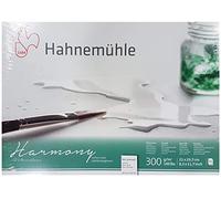 Hahnemühle Harmony Cartone acquerello, satinato, 300 g/m², 21 x 29,7 cm, 12 fogli Made in Germany