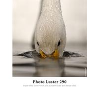 Hahnemühle Photo Luster 260 g. 1118 mm x 30 m. 10643170