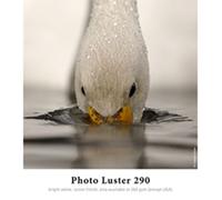 Hahnemuhle Photo Luster 260g A2 Box 25 vel