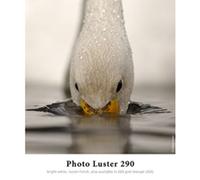 Hahnemühle Photo Luster 260 g. A4 210 x 297 mm. Box 250 fogli 10641934