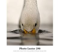 Hahnemühle Photo Luster 260 g. Box pieghevole con gancio 50 fogli 10 mm x 15 mm