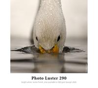 Hahnemühle Photo Luster 290 g. 431 mm. x 30 m.