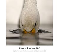 Hahnemühle Photo Luster 290 g. A2 420 x 594 mm. Box 25 fogli