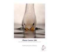 Hahnemühle Photo Luster 290 g/m² - 17 x 30 metri
