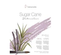 Hahnemühle Sugar Cane Watercolour - Carta ad acquerello in canna da zucchero, 290 g/m², 12 fogli (30 x 40 cm)