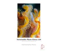 Hahnemühle Sustainable Photo Glossy 220 g/m² - 17 x 30 metri