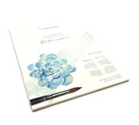 HAHNEMUHLE AGAVE - 290 g/mq - GF - 30x40cm - 30% cotone - 12 fogli