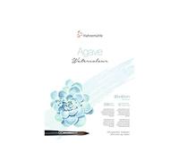 HAHNEMUHLE AGAVE - 290 g/mq - GF - 30x40cm - 30% cotone - 12 fogli