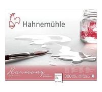 Hahnemuhle Harmony Blocco per acquerello, 12 fogli, 40 x 50 cm, grana fine