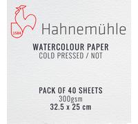 Hahnemuhle Pittura Acquarelli Carta Confezione 40 Fogli - 25 x 32.5cm, 300gsm