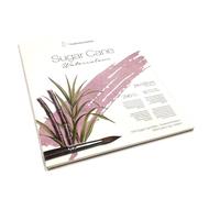 HAHNEMUHLE SUGAR CANE - 290 g/mq - GF - 24x32cm - 30% cotone - 12 fogli
