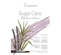 HAHNEMUHLE SUGAR CANE GR FIN 290GR A3 1