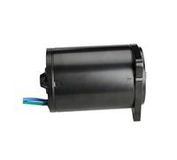 HAHvvBOF Motore di Regolazione 'inclinazione Compatibile con Motori fuoribordo 4T F200-F250HP 60V-43880-00 69J-43880-00 69J-43880 60V-43880-00