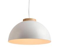 HAIDU Lampada a Sospensione in Stile Minimalista Nordico, lampadario a Testa Singola con Base E27, Lampada a Sospensione in Arte del Ferro con personalità Creativa, Negozio di Abbigliamento, ristoran