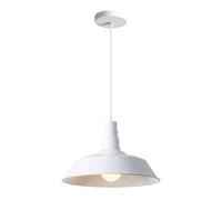 HAIDU Lampadario a testa singola con attacco E27, lampada a sospensione in metallo creativa e unica, apparecchi di illuminazione da soffitto, lampada a sospensione decorativa per soggiorno, sala da p