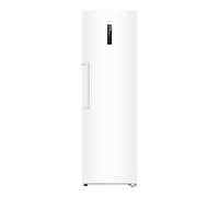 Haier H4F306WDH1 Congelatore verticale Libera installazione 301 L D Bianco
