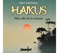 HAIKUS: MÁS ALLÁ DE LA MIRADA