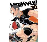 -haikyu-30-haruichi-furudate-
