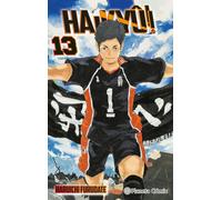 Haikyû!! nº 13