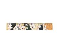 Haikyu Righello trasparente con stampa su entrambi i lati, 20 cm, per studenti, cancelleria Shoyo Hinata, righello in plastica per cartoni animati, righello dritto