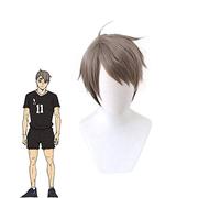 Haikyuu !! Parrucca cosplay Miya Osamu corta parrucca sintetica resistente al calore grigio-nero Haikiyu Parrucche con giochi di ruolo