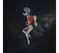 Hail Spirit Noir - Fossil Garden