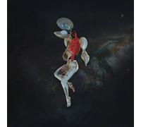 Hail Spirit Noir Fossil Garden (Vinyl LP)