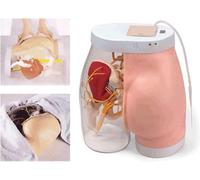 HAILMGAY Modello di iniezione dei glutei,simulatore elettronico di allenamento per l'iniezione dell'anca,modello di pratica per l'iniezione muscolare dei glutei semitrasparente,facile da osservare