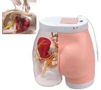 HAILMGAY Modello di iniezione dei glutei,simulatore elettronico di allenamento per l'iniezione dell'anca,modello di pratica per l'iniezione muscolare dei glutei semitrasparente,facile da osservare